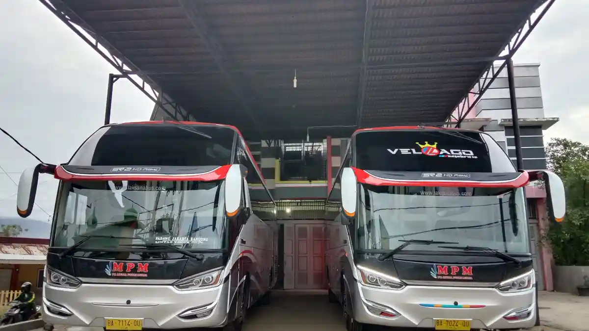 Berita - Harga Tiket Bus MPM Jakarta-Padang Kelas Eksekutif 28 Turun, Kini Cukup Rp 500 Ribu