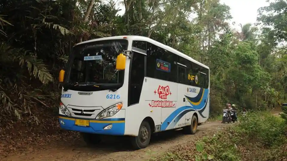 Bus - Damri Tambah Rute Perintis di Bali, Ongkosnya Mulai Rp 5.000