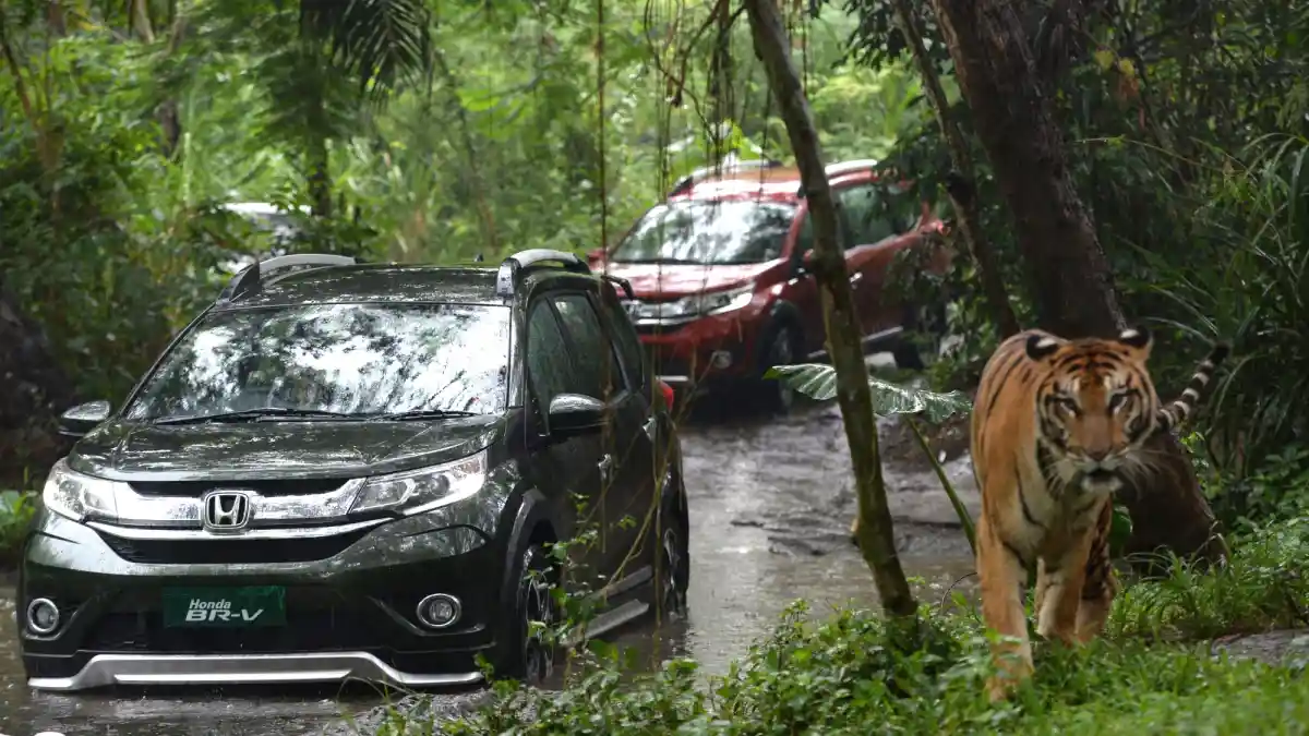 Berita - BR-V Penyumbang Penjualan Terbesar Honda 