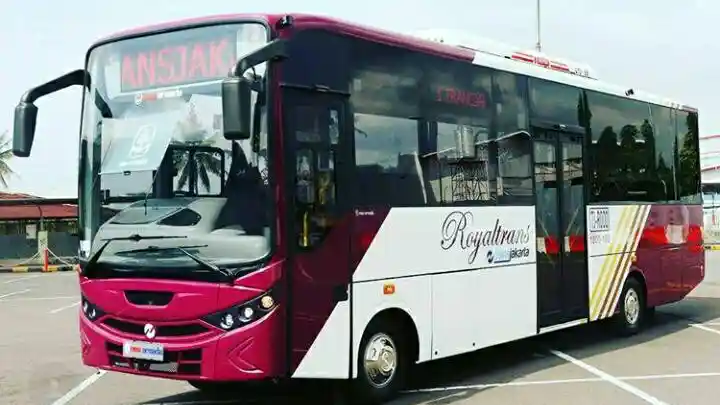Berita - Bus Royaltrans Akan Mulai Beroperasi Akhir Tahun 2017