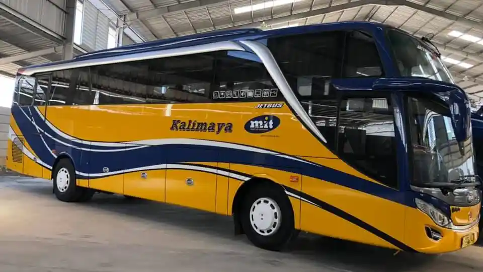 Foto - Fokus di Bisnis Rental Armada, Multi Inti Transport Incar Pelanggan di Segmen Korporasi