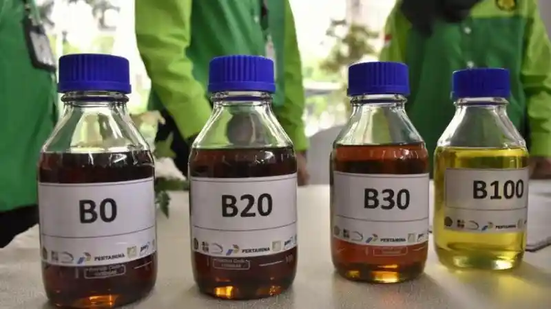 Berita - Bahan Bakar Nabati Bukan Cuma Program Sesaat