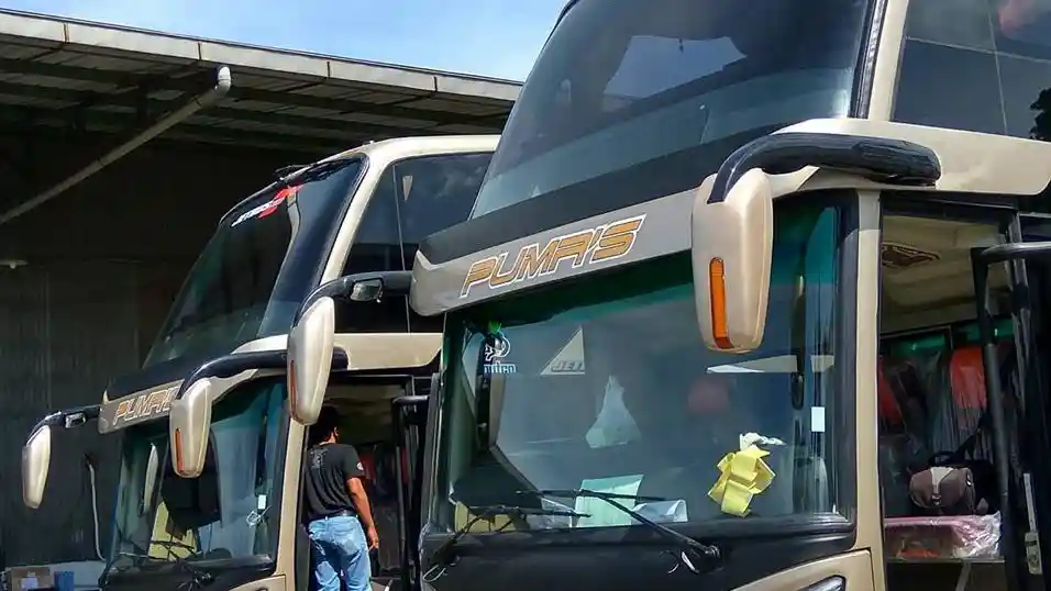 Bus - Tambah 2 Unit Bus Double Decker, Putera Mulya Investasi Rp 3 Miliar
