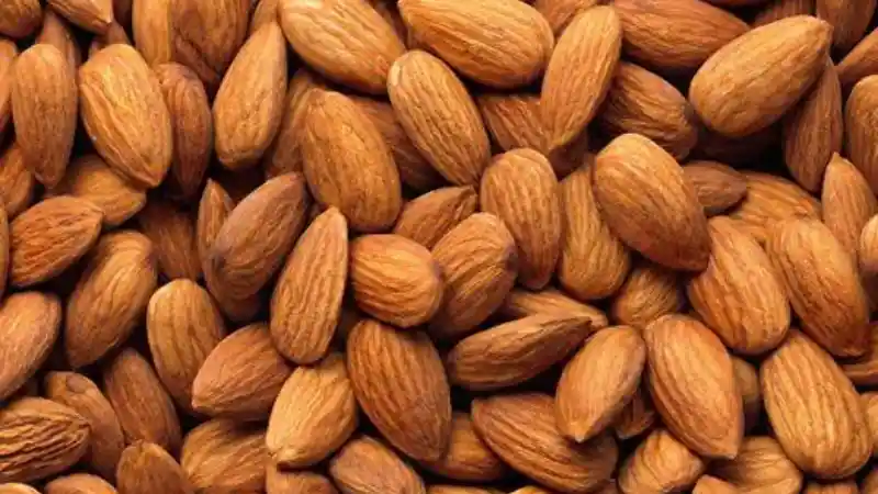 Foto - Ini Jenis Makanan yang Cocok Untuk Teman Mengemudi