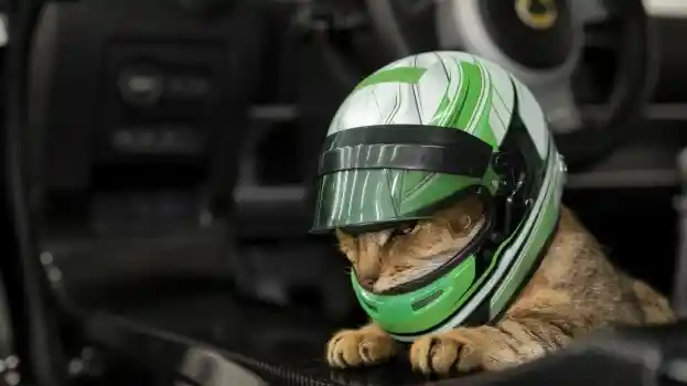 Foto - April Mop Kocak Ala Pabrikan, Simak 7 Terlucu Berikut ini 