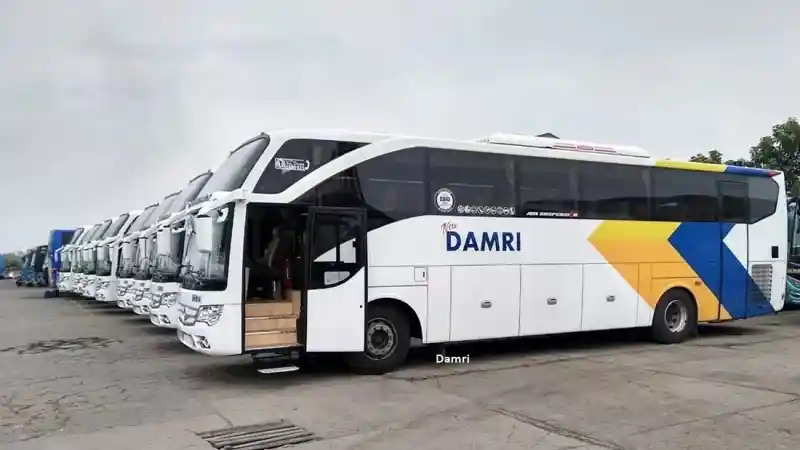 Bus - Damri Kembali Buka Jalur AKAP Dengan Rute Palu-Gorontalo