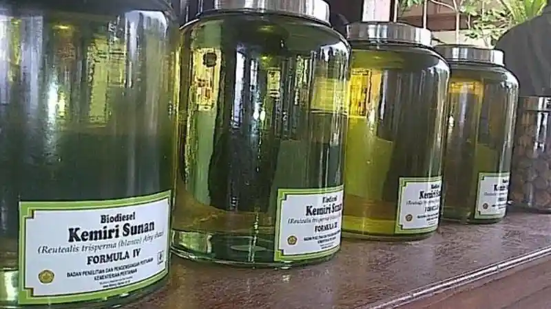 Foto - Toyota Sudah Buat Mesinnya, Indonesia Siap Produksi Bioetanol