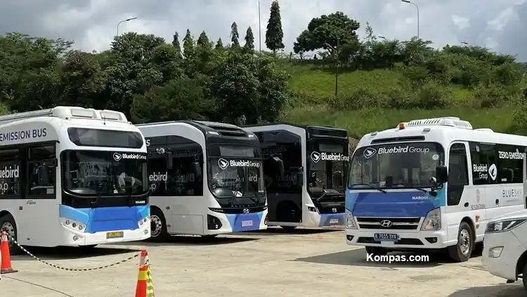 Foto - Ini Bus Listrik Dari Big Bird Untuk IKN