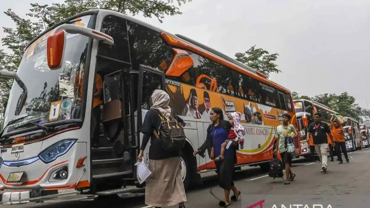 Foto - Kemenhub: Usia Pakai Bus Pariwisata Maksimal 15 Tahun