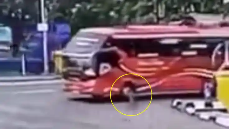 Foto - Klakson Telolet (Kembali) Makan Korban Sia-Sia