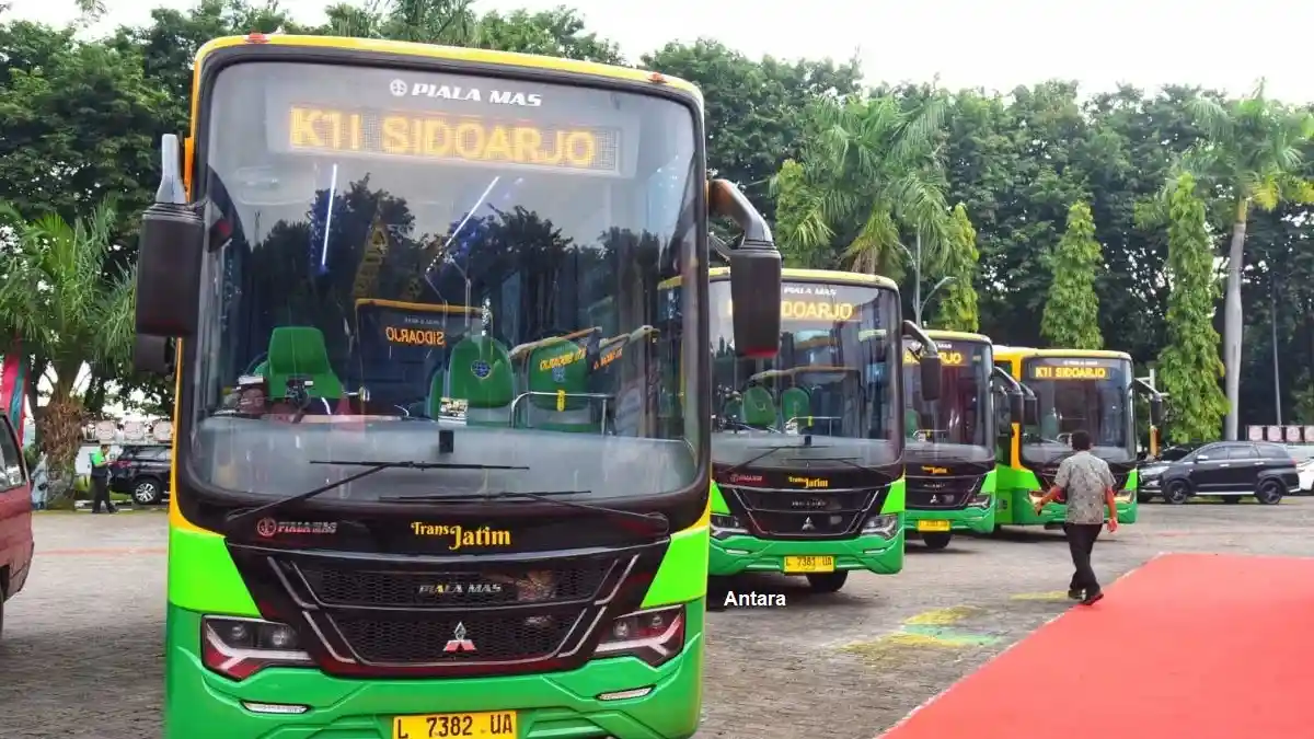 Berita - Dishub Jatim: Tarif Bus Trans Jatim Saat 17 Agustus Jadi Rp0 
