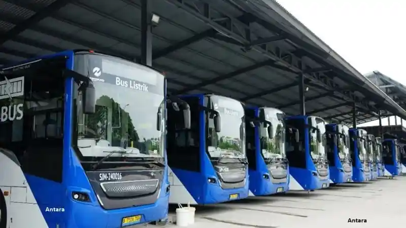 Bus - VKTR Rilis Bus Listrik Versi CKD