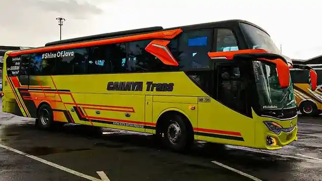 Berita - Penumpang Harus Cermat Memilih Bus Untuk Pariwisata