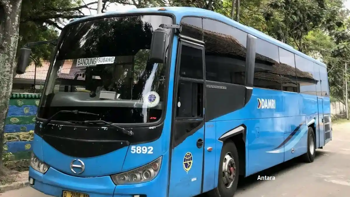 Berita - Damri Buka Rute Bandung-Subang
