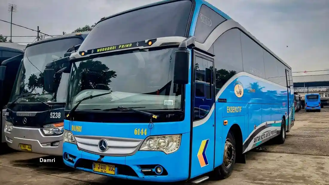 Bus - Damri Diskon Rp 50 Ribu Saat Liburan Sekolah, Rencanakan Juga Trayek Sabang-Merauke