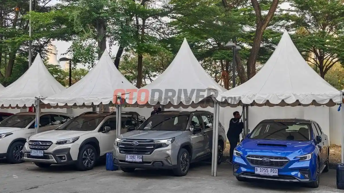 Foto - Begini Tips Aman Bawa Hewan Peliharaan di Mobil