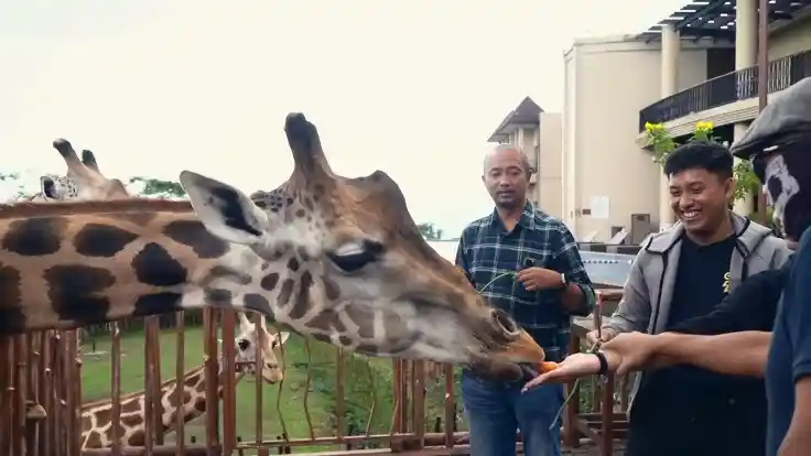 Foto - Epic Journey Yaris Cross HEV Part 1: Mobil Seirit Motor