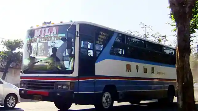 Foto - Obat Rindu, Bus Mila Sejahtera Bangkit Pakai Livery Legendaris