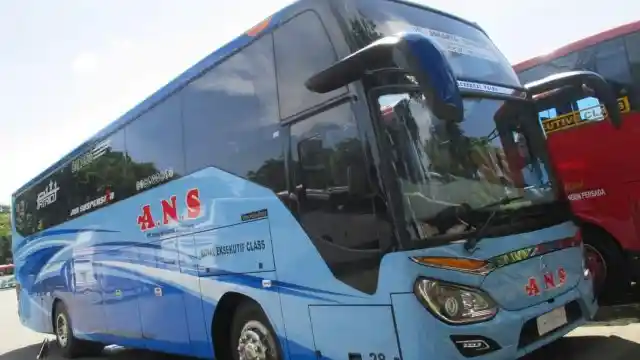 Bus - Mau Beli Bus Baru Mercy? Ini Panduannya… 