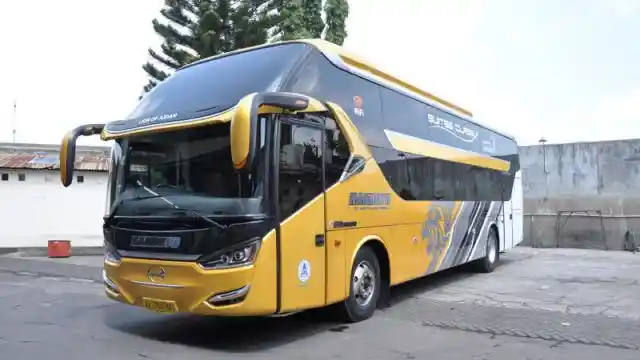 Bus - Bus Seperti Ini Ternyata Cocok Saat Pandemi Corona
