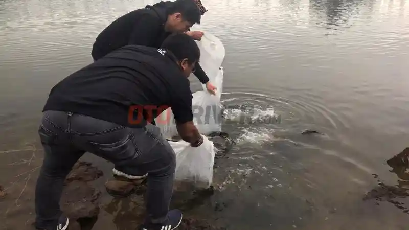 Foto - Cara Honda Rayakan 20 Tahun Eksistensi CR-V