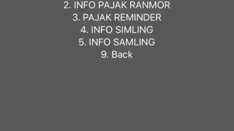 Foto - Cek Jatuh Tempo Pajak Mobil Anda Dengan Cara Ini