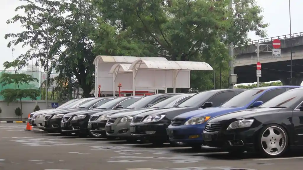 Foto - Coating Terbaru ini Bisa Jadikan Bodi Seperti Permukaan Daun Talas dan Anti Kotoran Burung