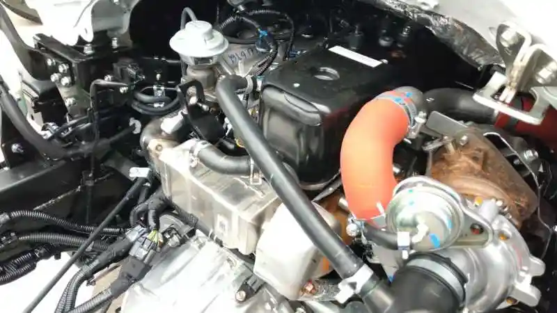 Foto - Ekspor Traga Justru Jadi Ironisme Bagi Panther