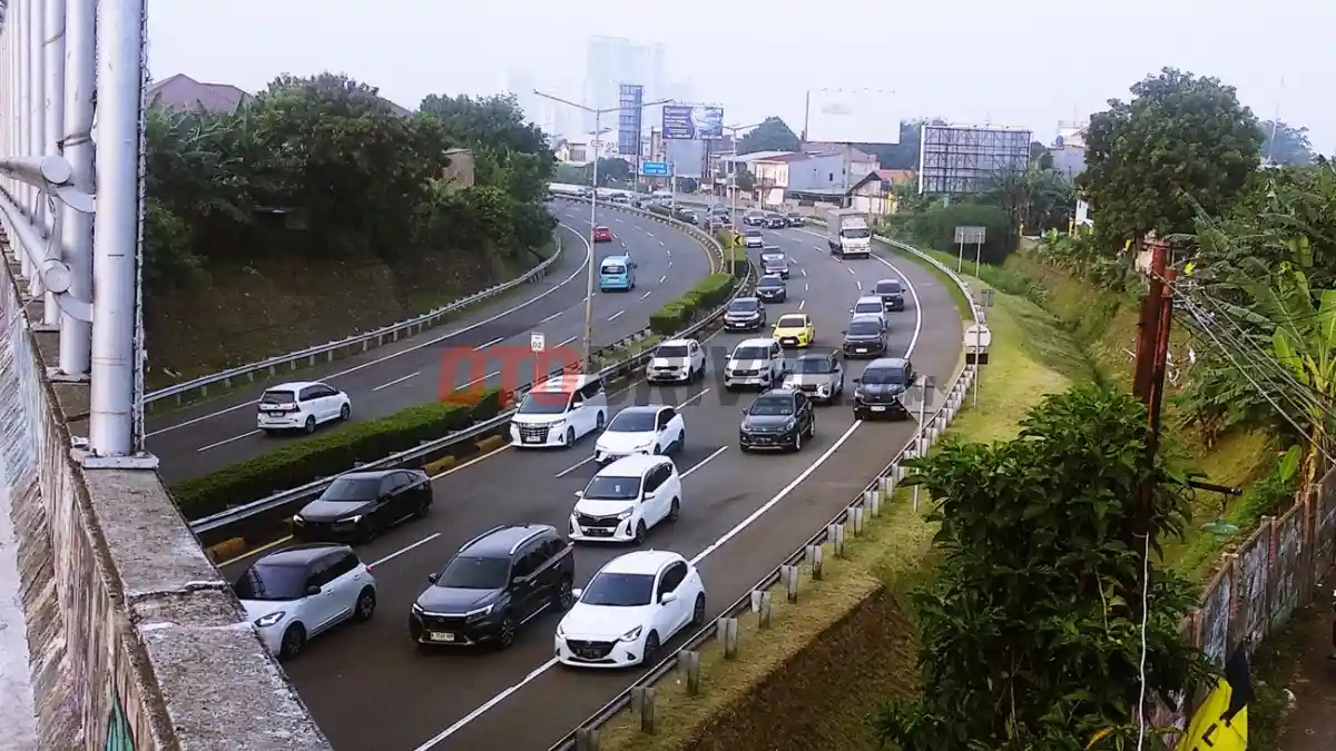 Foto - Berangkat Dari Kejadian Lexus Tertimpa Pohon, Ini Beberapa Hal Yang Perlu Dicermati