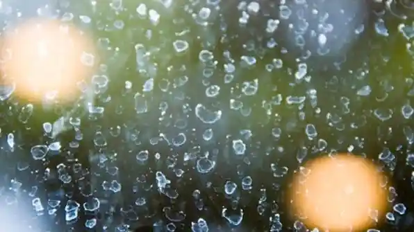 Berita - Tips Murah Meriah Bersihkan Jamur Kaca