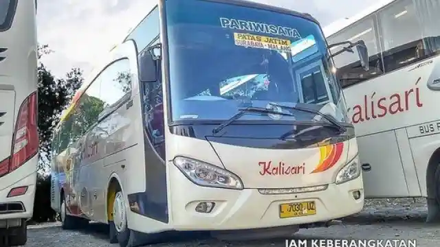 Bus - Mesin Belakang Untuk Kabin Lebih Lapang