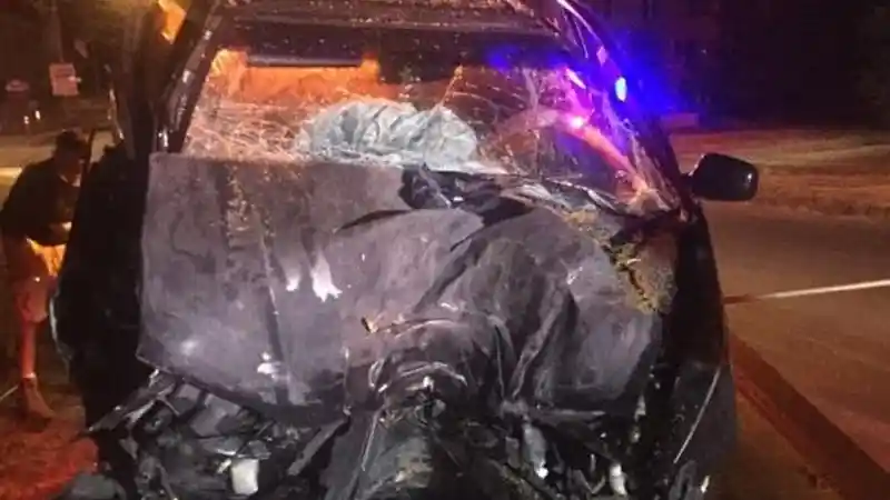 Foto - Pokemon Go Segera Dilarang Untuk Pengemudi di Inggris?