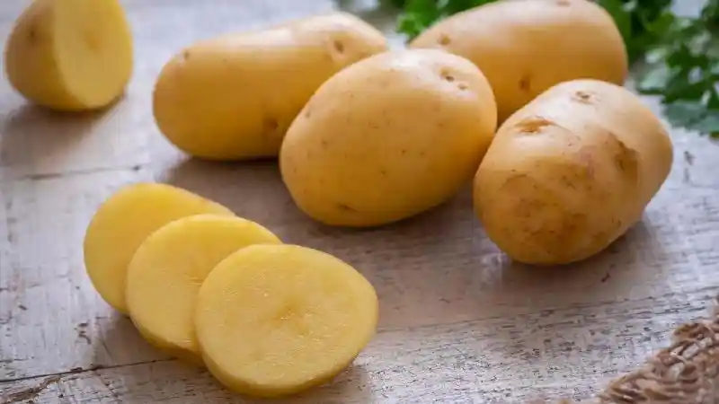 Foto - Murah Meriah Bikin Efek Daun Talas di Kaca Mobil