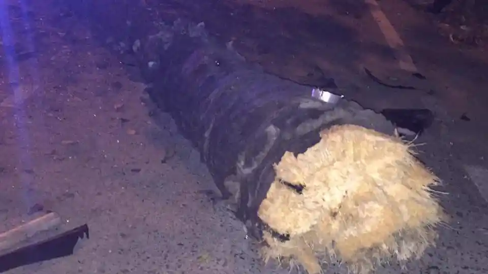 Foto - Ingin Pamer, Lamborghini Murcielago SV Pinjaman Ini Hantam Pohon Kelapa