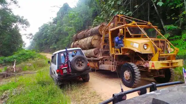 Foto - Lori Hantu, Monster Gado-Gado Dari Pedalaman Malaysia