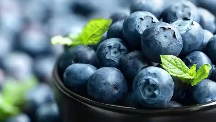 Foto - Nyetir Mudik Perlu Strategi Makanan Agar Tetap Optimal