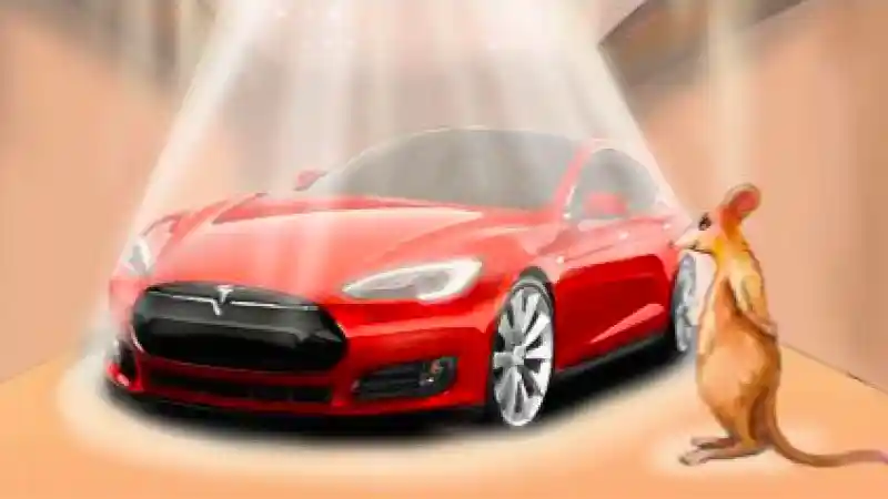 Berita - Kisah Cinta Seekor Tikus Dan Tesla