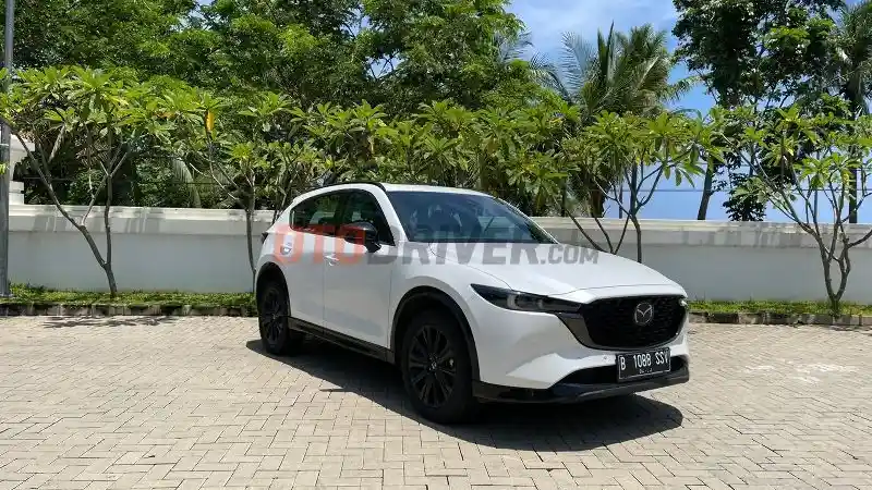 Foto - Daftar Harga Medium SUV Terbaru (Januari 2023)