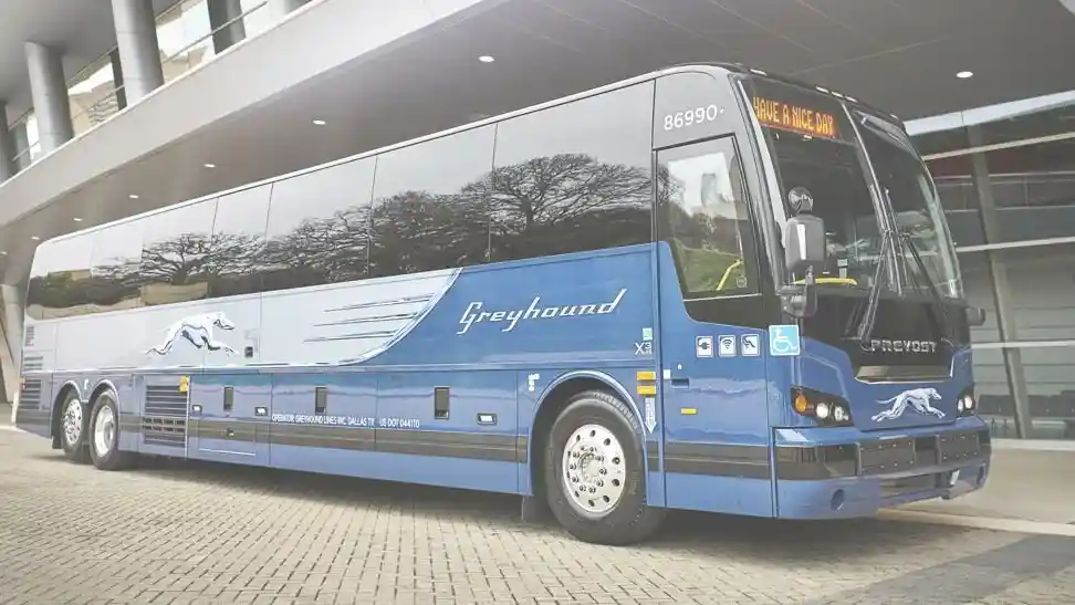 Foto - SIM Bus dan Truk Di Amerika Tidak Sama?