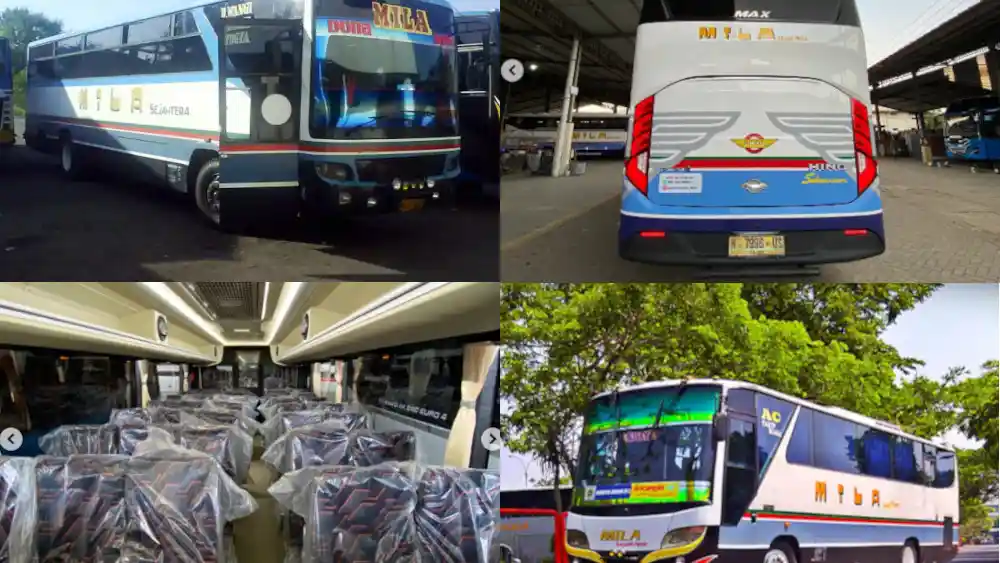 Foto - Obat Rindu, Bus Mila Sejahtera Bangkit Pakai Livery Legendaris