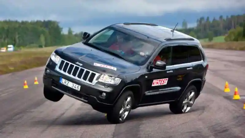 Berita - Mengenal Moose Test dan Sejarahnya