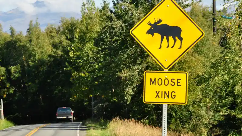 Foto - Mercedes-Benz Sempat Menanggung Malu Karena Tes ini