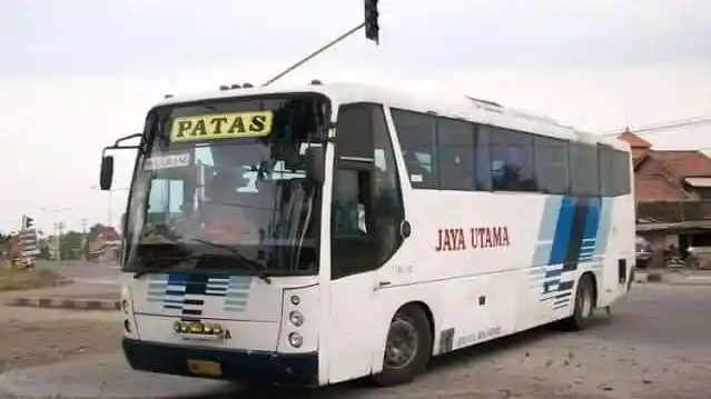 Foto - Genesia, Salah Satu Pelopor Desain Bodi High Deck