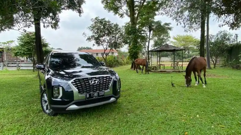 Foto - FIRST DRIVE: Hyundai Palisade