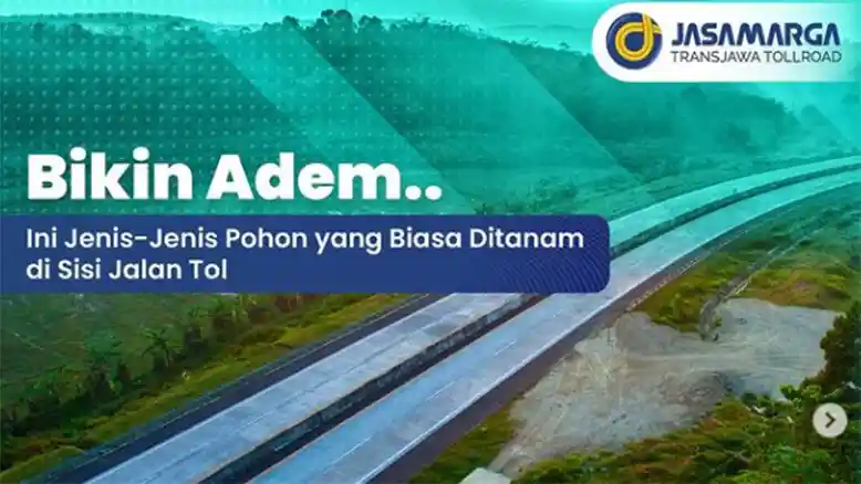 Berita - Cegah Jenuh Di Tol, Jasa Marga Tanam Pohon Agar Sektar Tol Jadi Asri 