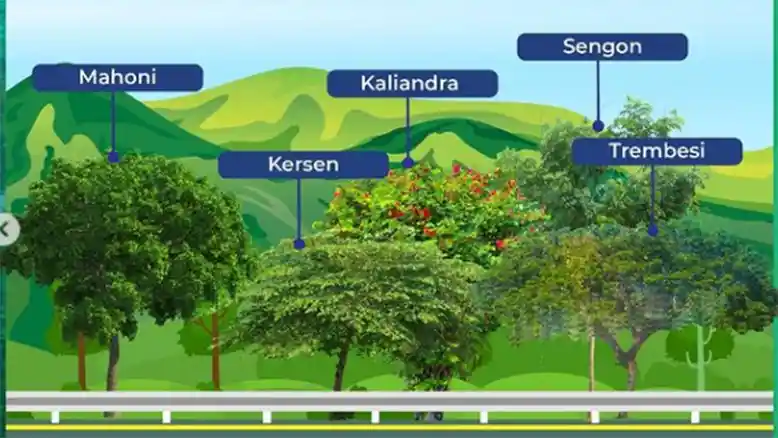 Foto - Cegah Jenuh Di Tol, Jasa Marga Tanam Pohon Agar Sektar Tol Jadi Asri 