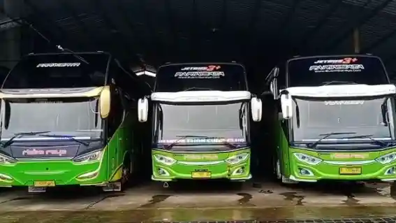 Berita - PO Rimba Raya Hadirkan Layanan Antarkota Dari Jepara