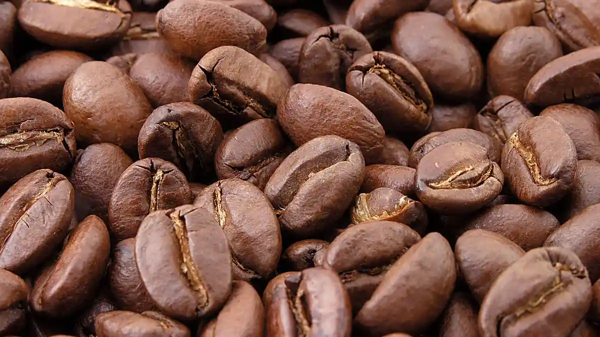 Foto - Musim Hujan, Kabin Mobil Lembab Dan Bau? Ini Cara Murah Meriah Untuk Mengusirnya