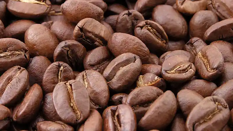 Foto - 2 Bahan Dapur ini Obat Bagi Mobil Bekas yang Bau