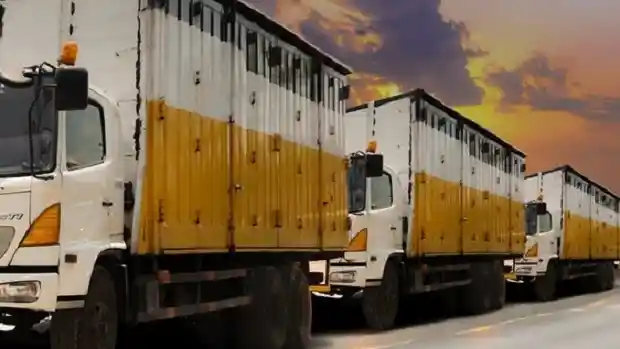 Berita - Jualan Saham Di Bursa, Pura Tans Belanja Ratusan Unit Truk Hino Dan Trailer